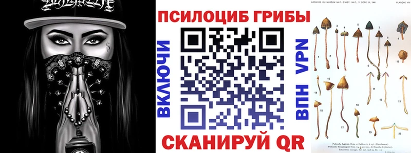 OMG маркетплейс  Ишимбай  Галлюциногенные грибы Cubensis  цена наркотик 